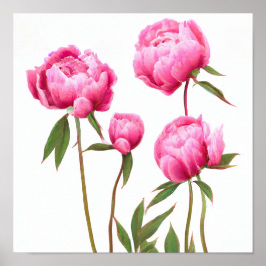 Roze Pioen Bloemen Art Print Poster (Voorkant)