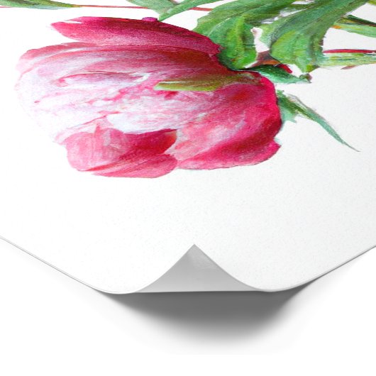 Roze Pioen Bloemen Art Print Poster (Hoek)