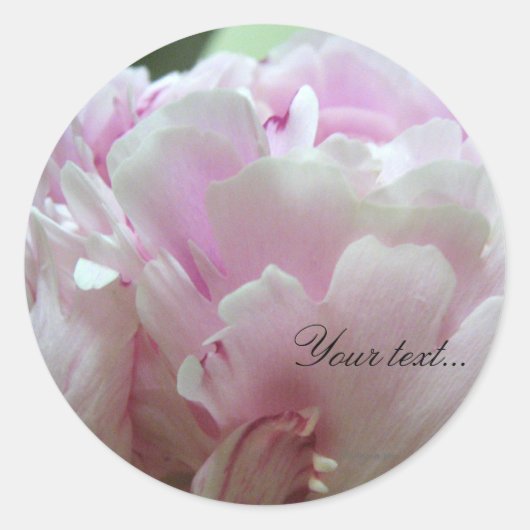 Roze Pioen Bloemen Bruiloft Uitnodiging Seals Ronde Sticker (Voorkant)
