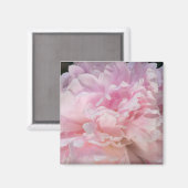 Roze Pioen Bloesem Magneet (Voorkant / Achterkant)