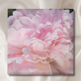 Roze Pioen Bloesem Magneet