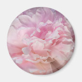 Roze Pioen Bloesem Magneet (Voorkant)