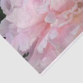 Roze Pioen Bloesem Tissuepapier (Detail)