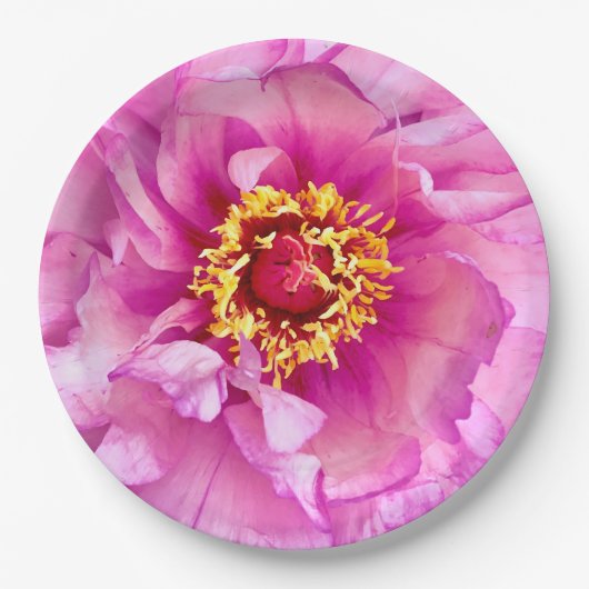 Roze Pioen Bord, 9" Rond Papier Bord (Voorkant)