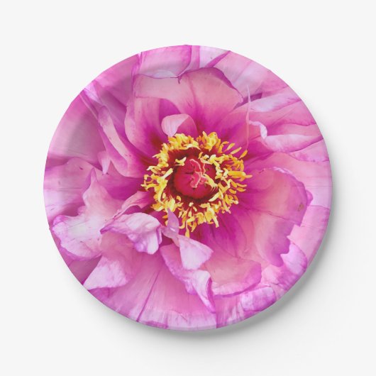 Roze Pioen Borden, 7" Rond Papier Bord (Voorkant)