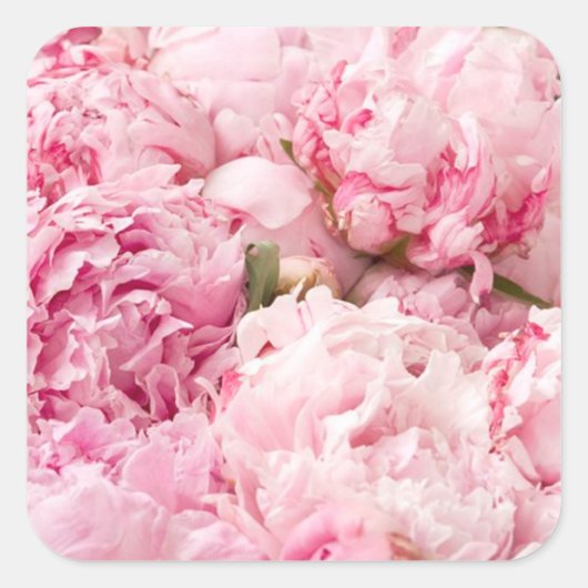 Roze Pioen Bruiloft Stickers (Voorkant)