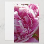 Roze Pioen foto huisje boerderij bloementuin Briefpapier (Voorkant / Achterkant)