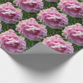 Roze Pioen foto huisje boerderij bloementuin Cadeaupapier (Hoek)