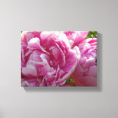 Roze Pioen foto huisje boerderij bloementuin Canvas Afdruk (Voorkant)