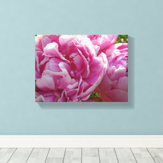 Roze Pioen foto huisje boerderij bloementuin Canvas Afdruk (Insitu (Houten vloer))