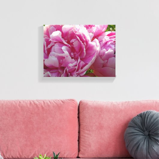 Roze Pioen foto huisje boerderij bloementuin Canvas Afdruk (Insitu (Woonkamer))