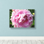 Roze Pioen foto huisje boerderij bloementuin Canvas Afdruk (Insitu (Houten vloer))