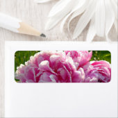 Roze Pioen foto huisje boerderij bloementuin Etiket (Insitu)