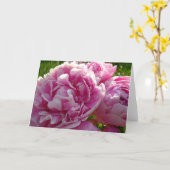 Roze Pioen foto huisje boerderij bloementuin Kaart (Gele Bloem)