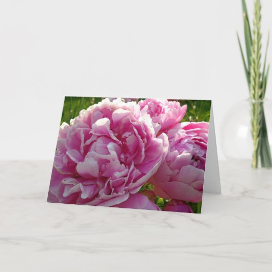 Roze Pioen foto huisje boerderij bloementuin Kaart (Voorkant)