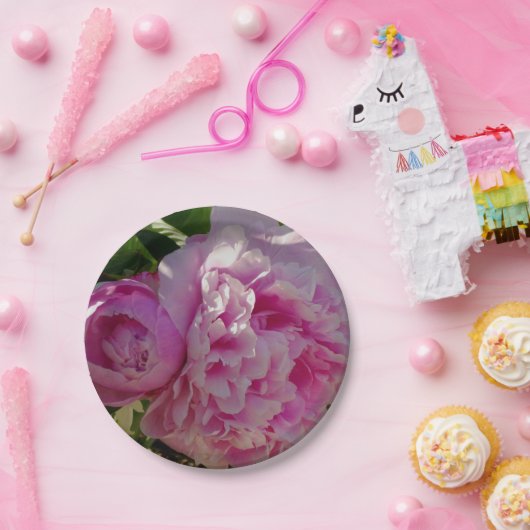 Roze Pioen foto huisje boerderij bloementuin Papieren Bordje (Feest)