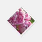 Roze Pioen foto huisje boerderij bloementuin Servet (Hoek)