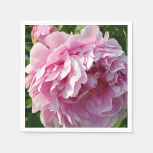 Roze Pioen foto huisje boerderij bloementuin Servetten