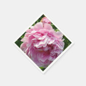 Roze Pioen foto huisje boerderij bloementuin Servetten (Hoek)