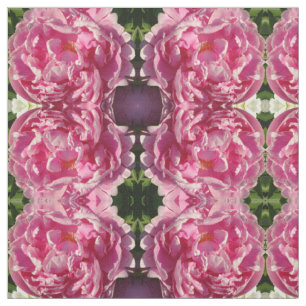 Roze Pioen foto huisje boerderij bloementuin Stof