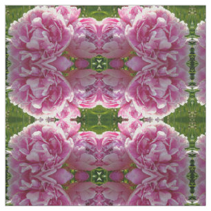 Roze Pioen foto huisje boerderij bloementuin Stof