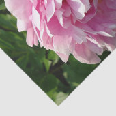 Roze Pioen foto huisje boerderij bloementuin Tissuepapier (Detail)