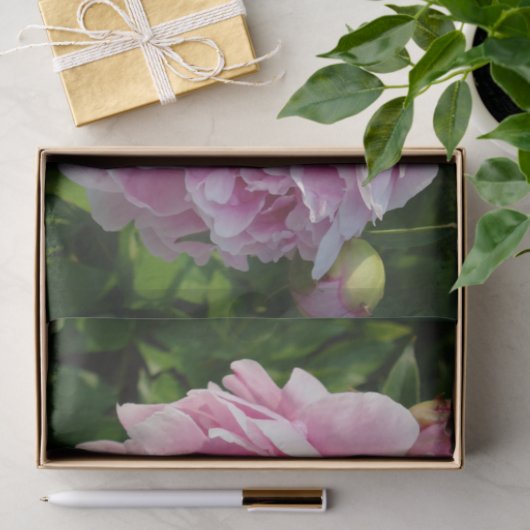 Roze Pioen foto huisje boerderij bloementuin Tissuepapier (Geschenk)