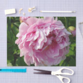 Roze Pioen foto huisje boerderij bloementuin Tissuepapier (Craft)