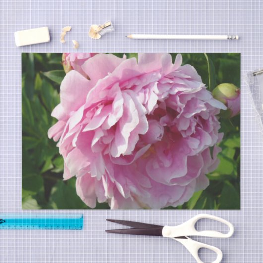 Roze Pioen foto huisje boerderij bloementuin Tissuepapier (Craft)