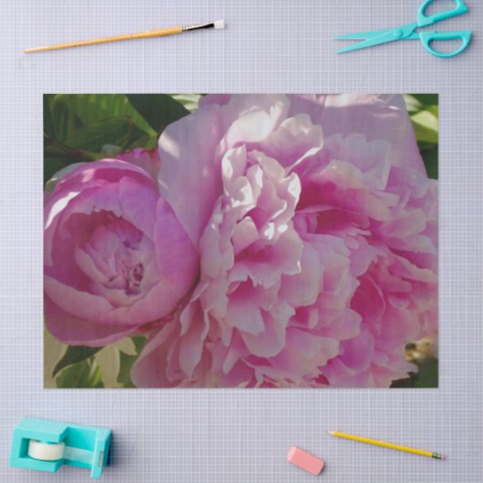 Roze Pioen foto huisje boerderij bloementuin Tissuepapier (Craft)