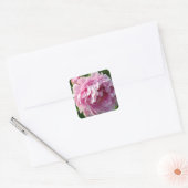 Roze Pioen foto huisje boerderij bloementuin Vierkante Sticker (Envelop)