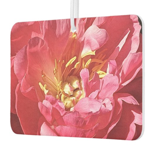 Roze Pioen, Hart Luchtverfrisser (Links)