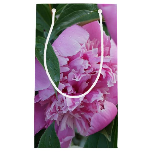 Roze Pioen Klein Cadeauzakje (Voorkant)