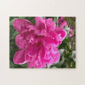 Roze Pioen Legpuzzel (Horizontaal)