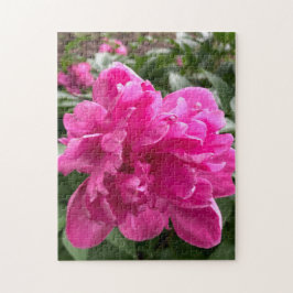 Roze Pioen Legpuzzel