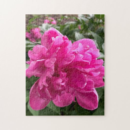Roze Pioen Legpuzzel (Verticaal)