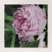 Roze Pioen Legpuzzel (Horizontaal)