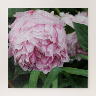 Roze Pioen Legpuzzel