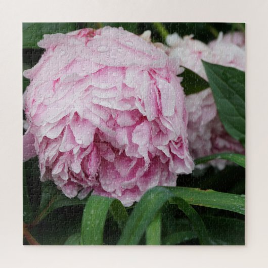 Roze Pioen Legpuzzel (Verticaal)