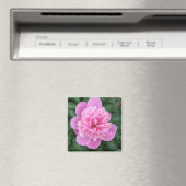 Roze Pioen Magneet (Insitu (Vaatwasser))