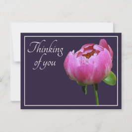 Roze Pioen Navy Kleur Achtergrond Denken Aan Jou Briefkaart