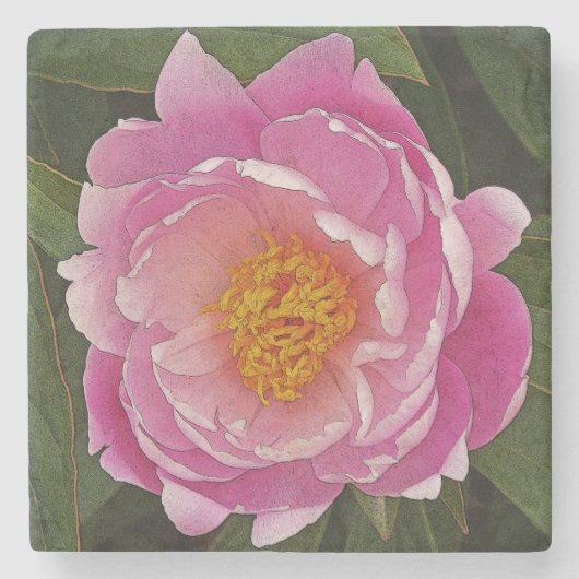 ROZE PIOEN (PEONY LIEBCHEN) STENEN ONDERZETTER (Voorkant)