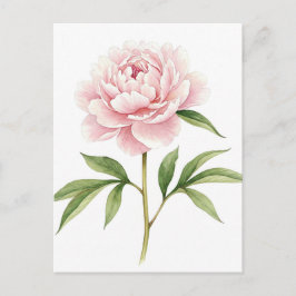Roze Pioen Postkaart