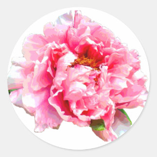 ROZE PIOEN RONDE STICKER