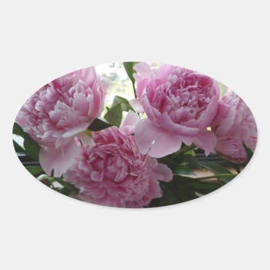 Roze Pioen Stickers (Voorkant)