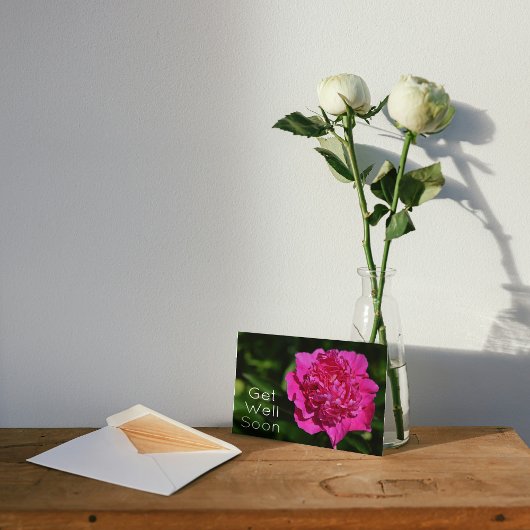 Roze Pioen Tuin Bloem Beterschap Kaart