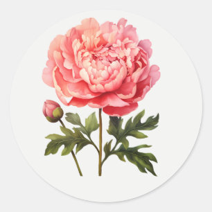 Roze Pioen Tuin Bloem Bloemschilderkunst Ronde Sticker