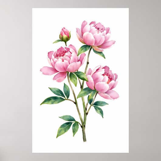 Roze Pioen Watercolor Print Botanisch (Voorkant)