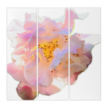 Roze Pioen Waterverf 3-delig Triptiek Wandkunst