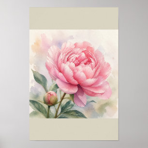 Roze Pioen Waterverf Botanische Muurkunst Poster